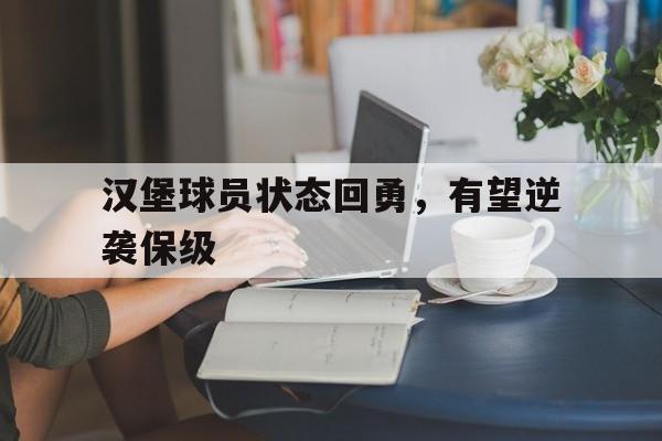 汉堡球员状态回勇，有望逆袭保级的简单介绍