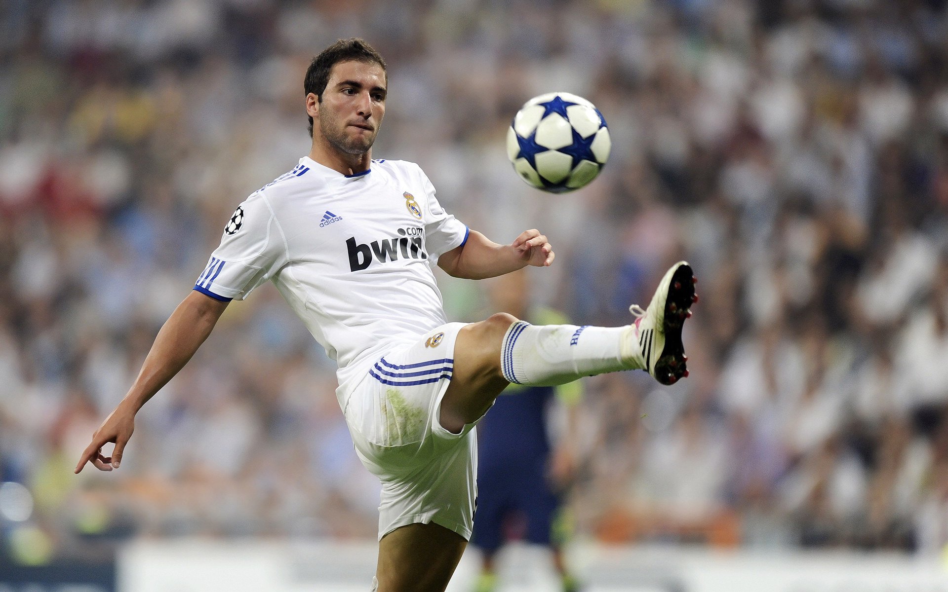 尼克斯的节奏魔方，当灰熊迷失在麦迪逊，布克在凤凰城完成涅槃